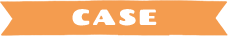 CASE