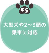 05 大型犬や2~3頭の乗車に対応